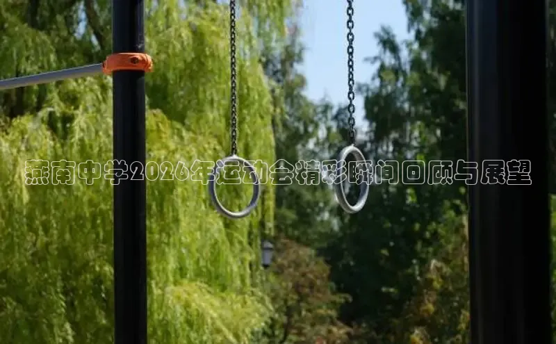 赏金国际下载链接