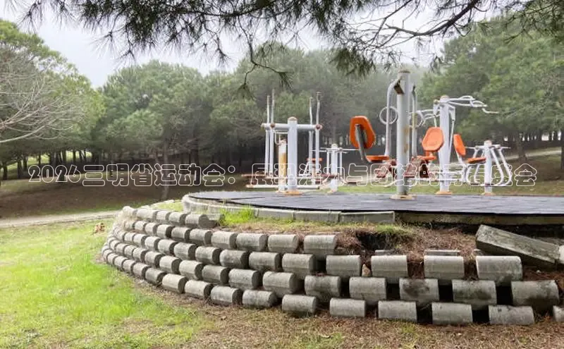 赏金国际app下载安装